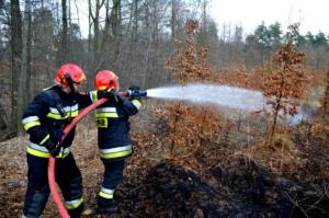 31.03.2019 - Pożar Wieszowa