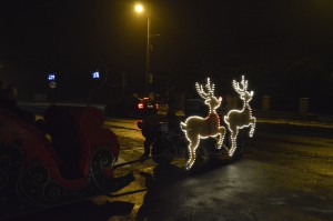  DSC0388
